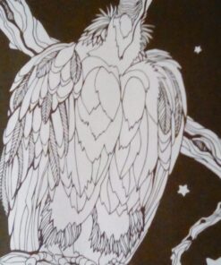 Adult Coloring Book: Midnight Edition: 29 Animal Designs for Stress Relief (Unibul Press Coloring Books) Paperback 39 71OQeycgOaL