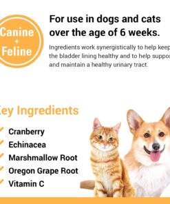 Vet Classics Cranberry Comfort Urinary Tract Pet Supplement for Dogs, Cats – Maintains Dog Bladder Health, Cat Bladder Control – Pet Supplements for Incontinence – 65 Soft Chews 13 71ORawL L