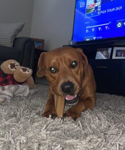 Purina Busy Bone Made in USA Facilities, Long Lasting Small/Medium Breed Adult Dog Chews, Peanut Butter Flavor - 6 ct. Pouch 6 Count (Pack of 1) 26 71OTI723VvL