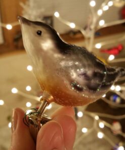 Old World Christmas Ornaments: Nuthatch Glass Blown Ornaments for Christmas Tree 26 71OUO17UGKL