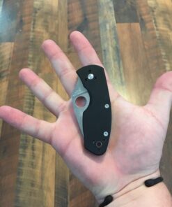Spyderco Ambitious Value Knife with 2.31" Stainless Steel Blade and Durable Black G-10 Handle - PlainEdge - C148GP 37 71OWAaetVBL