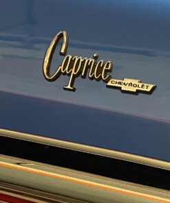 BSTEAN Syringe Blunt Tip Needle and Cap - 10ml, 5ml, 3ml, 1ml Syringes 14ga 16ga 18ga 20ga Blunt Needles - Oil or Glue Applicator (Pack of 10) Mixed-1ml, 3ml, 5ml, 10ml 33 71OXSiuK3ML