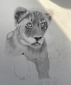 Faber-Castell 9000 Graphite Sketch Pencil Sets Art 8B - 2H set of 12 8 Colors 36 71Oae9cbolL