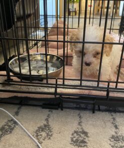 MidWest Homes for Pets Snap'y Fit Food Bowl | Pet Bowl, 20 oz. (2.5 cups) | Dog Bowl Easily Affixes to a Metal Dog Crate, Cat Cage or Bird Cage | Pet Bowl Measures 6L x 6W x 2H Inches,Silver 20 Ounces (2.5 cups) 32 71Oar7WaLhL