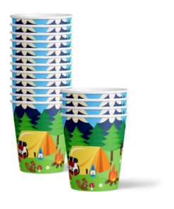 Camping Adventure Birthday Party Supplies Set Plates Napkins Cups Tableware Kit for 16 10 71OdS29srL