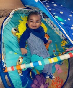 Bright Starts Disney Baby Finding Nemo Mr. Ray Ocean Lights & Music Gym, Ages Newborn + 39 71Ofa8KmtL