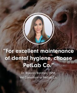 PetLab Co. ProBright Dental Powder for Dogs - Tailored Teeth Cleaning Made Easy – Formula Tailored for Small-Sized Dogs Small Dogs 15 71OfzBYKM8L
