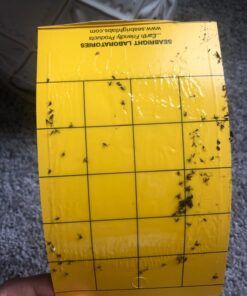 Yellow Sticky Aphid Whitefly Trap Pack of 15 34 71OiA97qgZL
