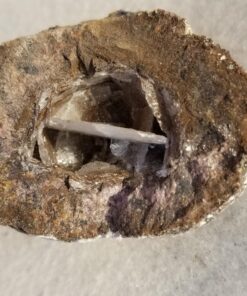 Large Size Break Open Geodes Kit 12 Whole Geodes By Ancient Treasure Adventures 72 71OjgIN50dL