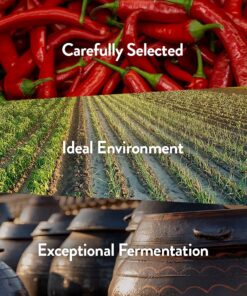 Chung Jung One O'Food Gochujang Korean Red Chili Pepper Paste Sauce, Spicy, Sweet and Savory Korean Traditional Fermented Condiment, 100% Brown Rice, No Corn Syrup, Medium Hot, 1.1lb 1.1 Pound (Pack of 1) 23 71OkF6Kh05L