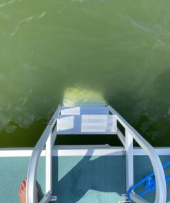 RecPro 5 Step Removable Boarding Boat Ladder | AL-A5 | Marine Pontoon Boat Dock | Heavy Duty Aluminum 41 71Ol8yjknZL