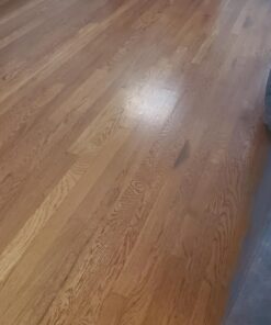 Rejuvenate Professional Wood Floor Restorer and Polish with Durable Finish Easy Mop On Application High Gloss Finish 32oz 32 Fl Oz (Pack of 1) 1 Pack 45 71OmDfOZU9L