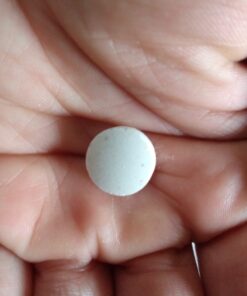 Big Sky Ginger Delights - Spiced Chai, Blood Orange, Mango, and D'Anjou Pear - Variety 4 Pack - Naturally Flavored Ginger Mints in Resealable Metal Tin Pear,Ginger 15 71OmnxQQR8L