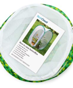 RESTCLOUD Insect and Butterfly Habitat Cage Terrarium Pop-up 12" x 14" Tall 13 71OrQZxxXRL