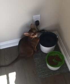 Catit Replacement 3 pack Carbon & Foam Cartridge for Fresh & Clear Water Fountain 1 White 30 71Orae3274L