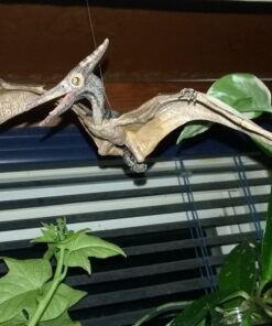 Papo The Dinosaur Figure, Pteranodon 22 71Ovm136krL