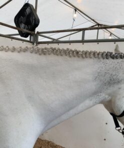 Exhibitor's Quic Braid for Total Mane & Tail Control 16 oz Spray 12 71OvscCEI0L