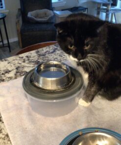 Purina Pro Plan Veterinary Supplements FortiFlora Cat Probiotic Supplement For Cats With Diarrhea - 30 ct. Box 31 71Own3thufL