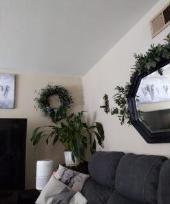 REMIAWY Plant Watering Devices 6 Pack Terracotta Vacation Plant Waterer Wine Bottle Watering Stakes Slow Release Plant Watering Spikes Perfect Self Watering Devices for Indoor Outdoor Plants 39 71OzJgGqpGL