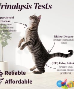 One Step Pet Urine Testing Strips, 50 x Urinalysis Parameter Tests for Dogs, Cats, Vets, Accurate Testing for Veterinarians, Detects UTI, Diabetes, Bladder, Kidney, Liver, SG, pH, Glucose 11 71P0vuAxbOL