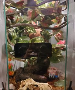 Fluker's Repta Vines for Reptiles and Amphibians Terrariums - Red Coleus 14 71P5pWGwJRL