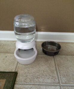 Petmate Replendish Automatic Gravity Waterer for Cats and Dogs, BPA-Free, No Batteries Required, Includes Charcoal Filter, 0.5 Gallon,Silver Silver 0.5 GAL 67 71P7jccEHL
