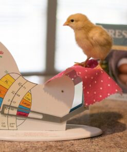 The Incredible Egg Scale 1 26 71P7pQZwNDL