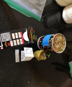 Moruga Scorpion Pepper - Grow Your Own Hottest Pepper in the World! - 2,000,000SHU 3oz/85gr 37 71P9vF14maL 1