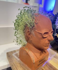 Chia Pet Bernie Sanders with Seed Pack, Decorative Pottery Planter, Easy to Do and Fun to Grow, Novelty Gift, Perfect for Any Occasion 10 71PAIcgaIoL