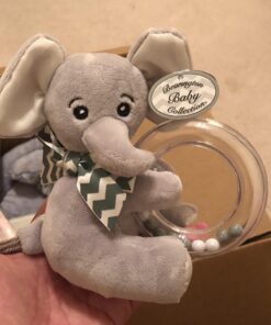 Bearington Baby Lil’ Spout Ring Rattle: 5.5” Plush Gray Elephant Shaker Toy with Soft Plush Fur, Satin Bow, Clear Ring and Moving Beads; Sensory Stimulation for Infants, Makes a Great 5.5 Inch (Pack of 1) 24 71PBZ9odn0L