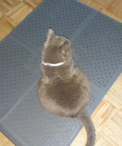 Petlinks Purr-fect Paws Multipurpose Cat Litter Mat - Gray, Medium,(Pack of 1) 41 71PBa4ZGdTL