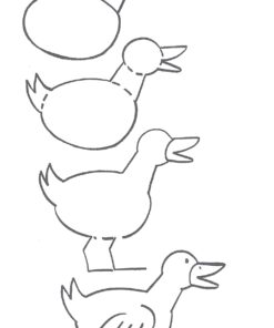 How to Draw Animals: Step-by-Step Drawings! (Dover How to Draw) 18 71PBzvK4arL