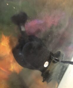 MarineLand Magnum Polishing Internal Canister Filter, For aquariums Up To 97 Gallons, 10.5 IN (ML90770) 44 71PC41bWfOL