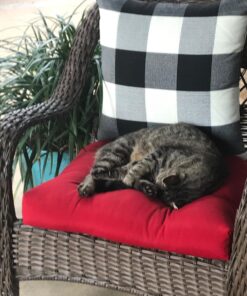 Pillow Perfect Outdoor/Indoor Pompeii Tufted Seat Cushions (Round Back), 19" x 19", Red, 2 Pack Round Corner - 19" x 19" Pillow 42 71PFK9C1k2L