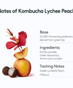 Osulloc Kombucha Tea LycheePeach (Lychee & Peach Blending), Sparkling Powdered Mix Beverage, No added sugar, 10 Sticks, 1.76oz Lychee & Peach 10 Count (Pack of 1) 21 71PGihSLg7L