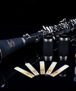 Glory GLY-PBK Professional Ebonite Bb Clarinet with 10 Reeds, Stand, Hard Case, Cleaning Cloth, Cork Grease, Mouthpiece Brush and Pad Brush, Black Black/Silver 24 71PHKsaN8ZL