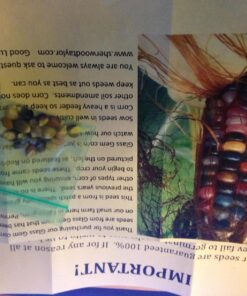 Glass Gem Indian Corn Heirloom Seed - The Most Beautiful Corn in the World! 44 71PHuTzii6L