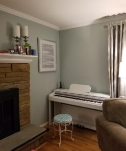 The ONE Digital Piano with Lighted-up Teaching Keys, Piano Keyboard 88 Keys with Hammer Action for Beginner/Professional, Full Size Weighted Keyboard with Piano Stand/3-Pedal Unit/APP, White PLAY 27 71PIspS4TZL