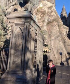 Rubie's Deluxe Harry Potter Costume Large 42 71PItZusDGL