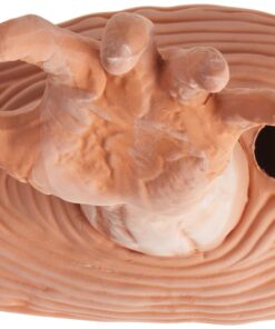 Chia Pet Zombie Pet with Seed Pack, Decorative Pottery Planter, Easy to Do and Fun to Grow, Novelty Gift, Perfect for Any Occasion Zombie Restless Arm 16 71PLlJp9bzL