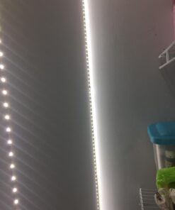 Lepro 12V LED Strip Light, Flexible, SMD 2835, 300 LEDs, 32.8ft Tape Light for Home, Kitchen, Party, Christmas and More, Non-Waterproof, Daylight White, Pack of 2(Not Include Power Adapter) 32.8 ft 36 71POOVg7A1L