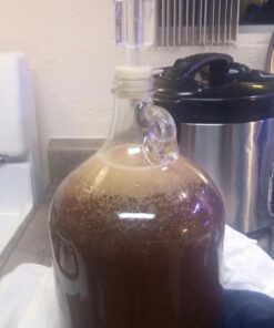 FastRack Stopper/Airlock 1 Gallon Glass Fermenter/Jug, Clear 1 Count (Pack of 1) 41 71POfX t0OL