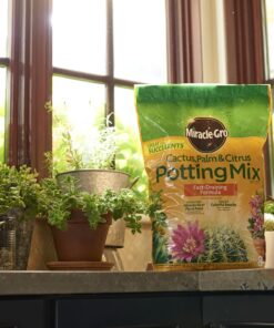 Miracle-Gro Cactus, Palm & Citrus Soil - For Containers , Added Fertilizer Feeds for 6 Months, 8 qt. Potting Mix 24 71POlicpfmL
