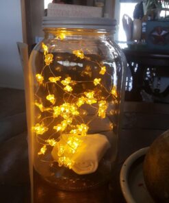 Paksh Novelty 1-Gallon Glass Jar Wide Mouth with Airtight Metal Lid - USDA Approved BPA-Free Dishwasher Safe Large Mason Jar for Fermenting, Kombucha, Kefir, Storing and Canning Uses, Clear (1 Jar) Metal Lid, 1 Pack 39 71PScWwgTtL