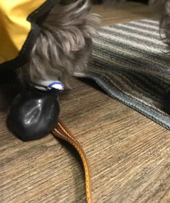 PawZ Rubber Dog Boots for Paws up to 2 1/2", 12 Pack - All-Weather Dog Booties for Hot Pavement, Snow, Mud, and Rain - Waterproof, Anti Slip Dog Socks - Small, Black 38 71PTHtY3Z6L