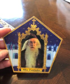 Harry Potter Non Edible Chocolate Frog Prop Replica 44 71PTh1yieGL