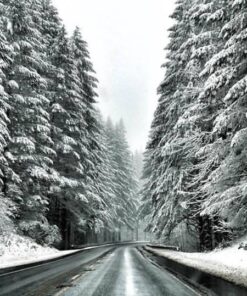 Panasonic LUMIX G7 4K Mirrorless Camera, with 14-140mm Power O.I.S. Lens, 16 Megapixels, 3 Inch Touch LCD, DMC-G7HK (USA BLACK) 40 71PWS4MlK7L