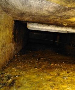 Chapin 20541 Made in the USA 1-gallon Lawn, Garden and Multi-purpose Sprayer with Foaming and Adjustable Nozzles for Spraying Plants, Garden Watering, Lawns, Weeds and Pests , Translucent White 23 71PWw5S93JL