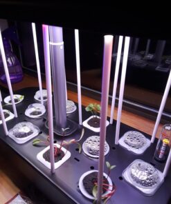 Survival Essentials Ultimate Heirloom Seed Vault, 144 Variety Packed in Superior Ammo Can, Over 23k Garden Seeds for Planting Vegetables and Fruits, for Survival and Emergency Supply, Non-GMO 25 71PXBRjoUGL