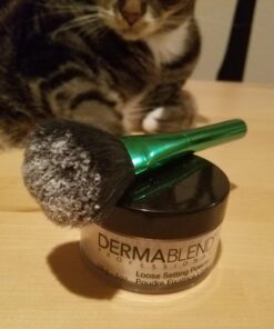 Dermablend Loose Setting Powder, Face Powder Makeup & Finishing Powder for Light, Medium & Tan Skin Tones Original Translucent 1 Oz 38 71PYILNucfL